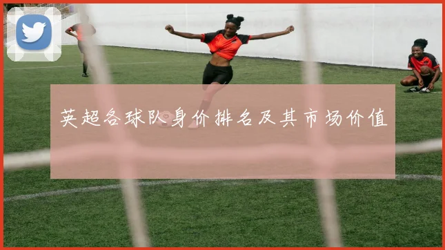 英超各球队身价排名及其市场价值